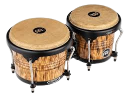 Bongos - بونگوس